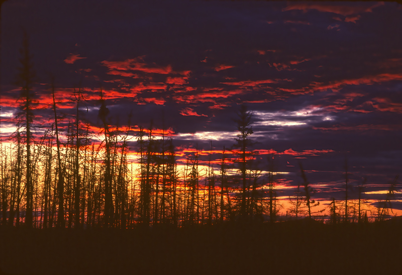 Alcan_89_004