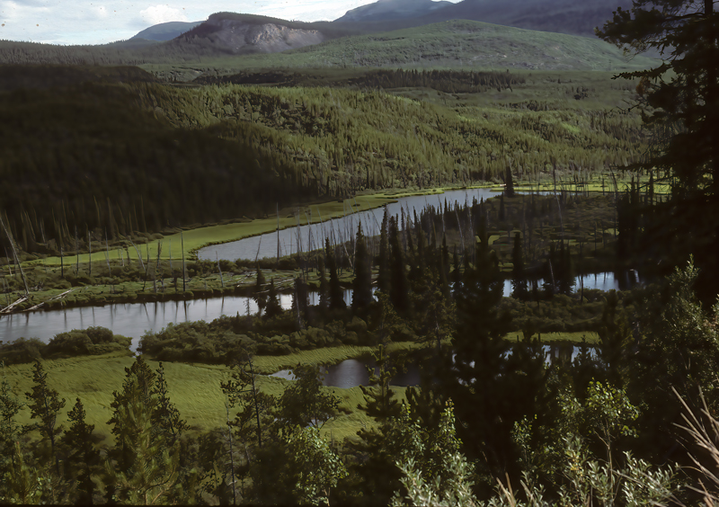 Alcan_89_011