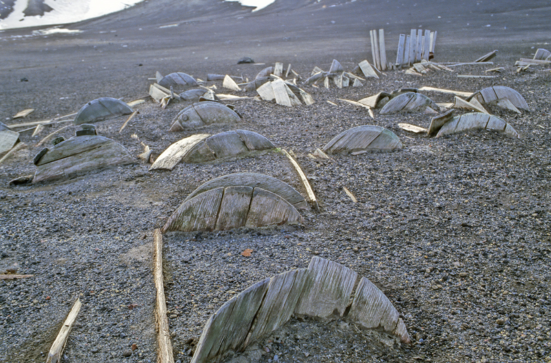 Antarctica_98_009
