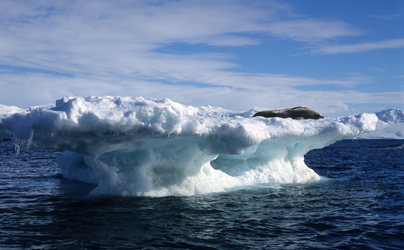 Antarctica_98_108