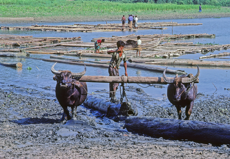 Burma_87_027