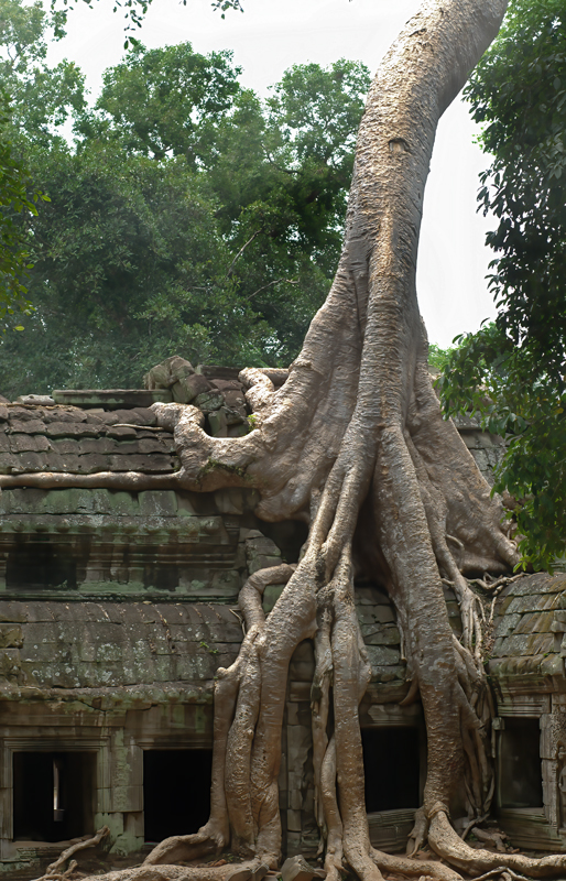 Cambodia_06_034