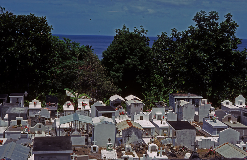 Caribbean_83_015