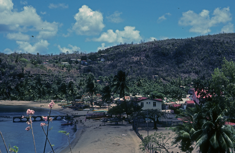 Caribbean_83_016