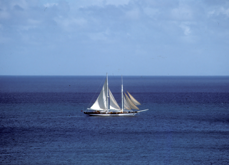 Caribbean_83_023