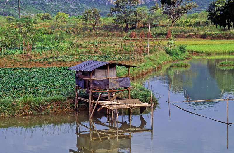 China_95_064