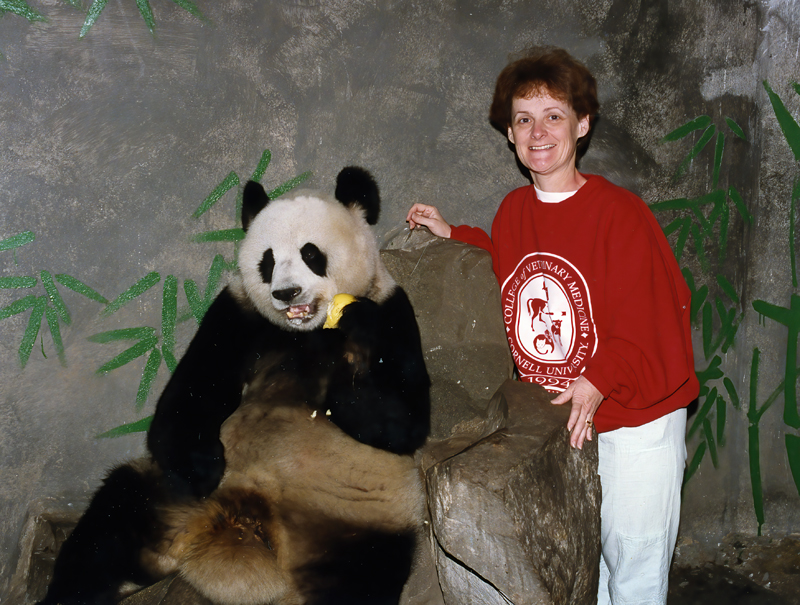 China_96_090