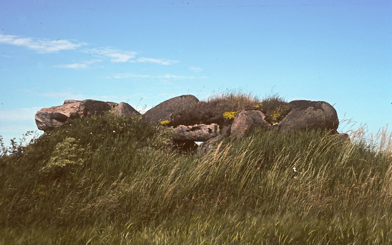 Denmark_88_016