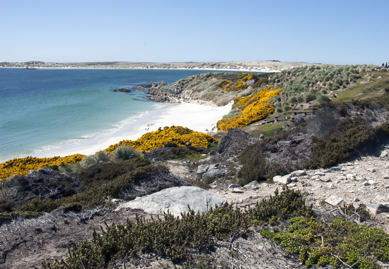 Falklands_07_England_005