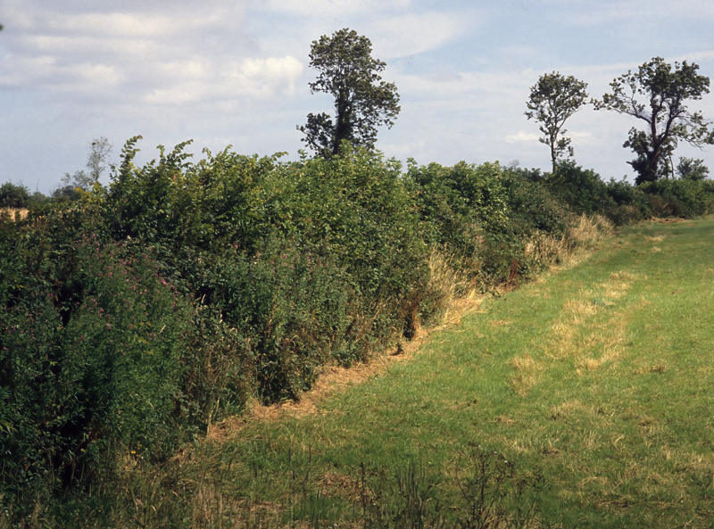 France_90_005