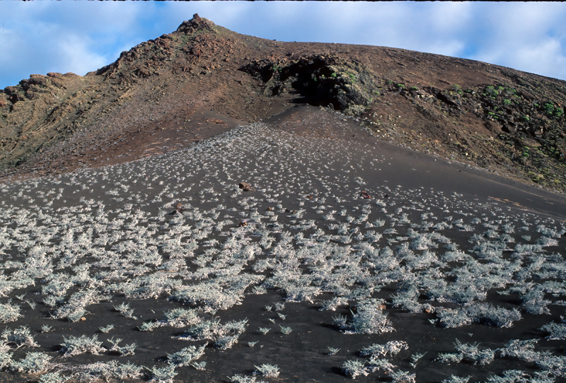 Galapagos_Islands_97_Galapagos_002