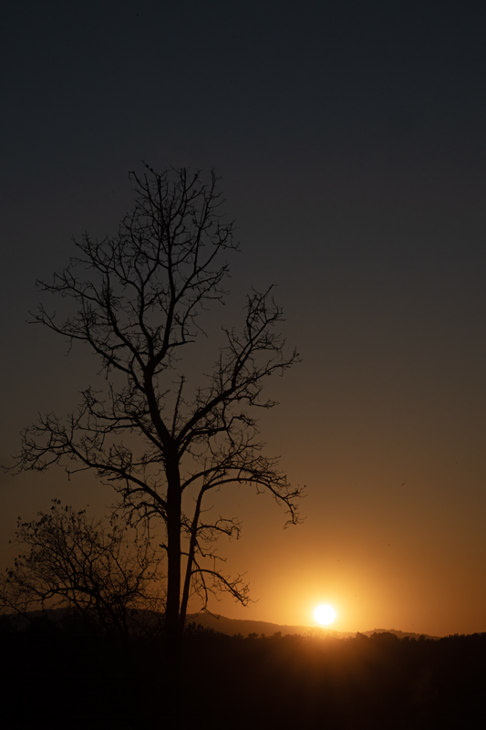 India_25_India_618