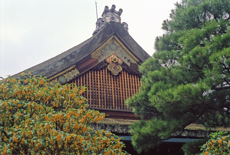 Japan_88_013