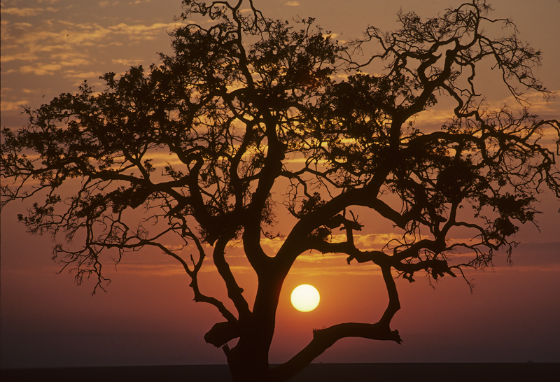 Kenya_90_047
