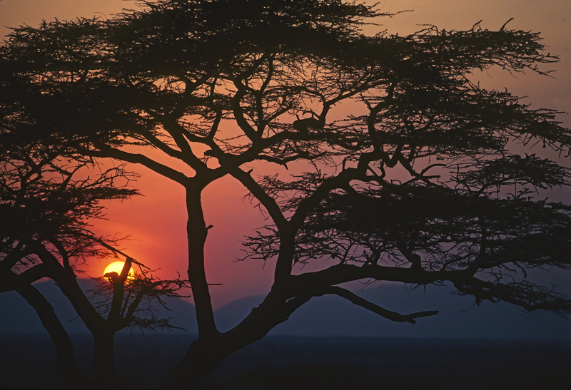 Kenya_90_051