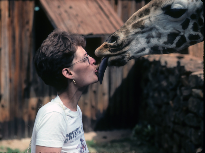 Masai_Giraffe_90_Kenya_010