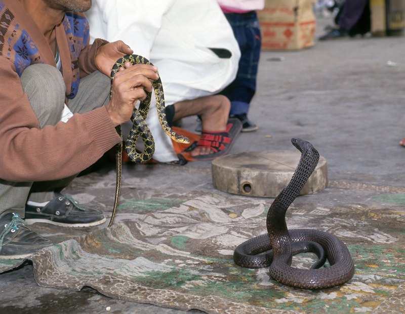 Morocco_83_030