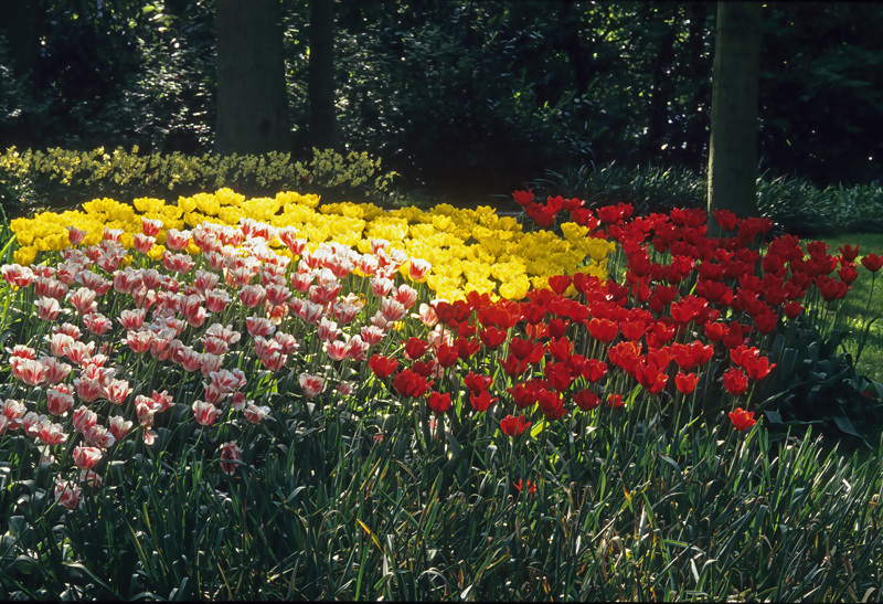 Netherlands_90_018