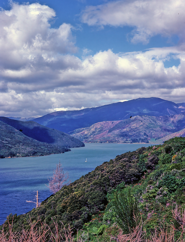 New_Zealand_95_001