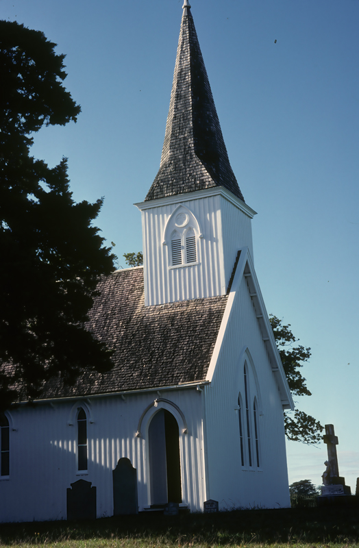New_Zealand_95_011