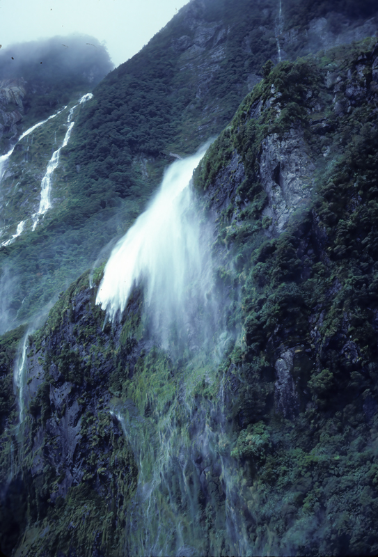New_Zealand_95_036