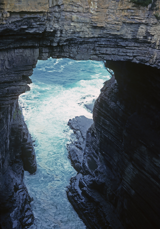 New_Zealand_95_040