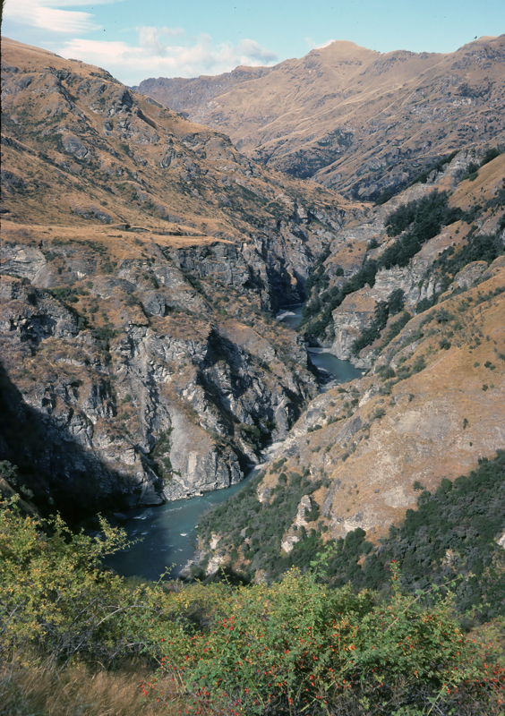 New_Zealand_95_045