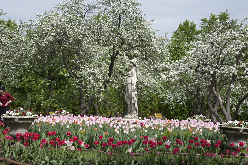 Russia_Moscow_2017_224