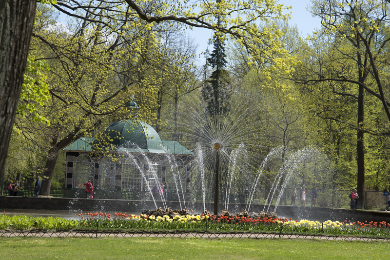 Russia_St_Petersburg_2017_189