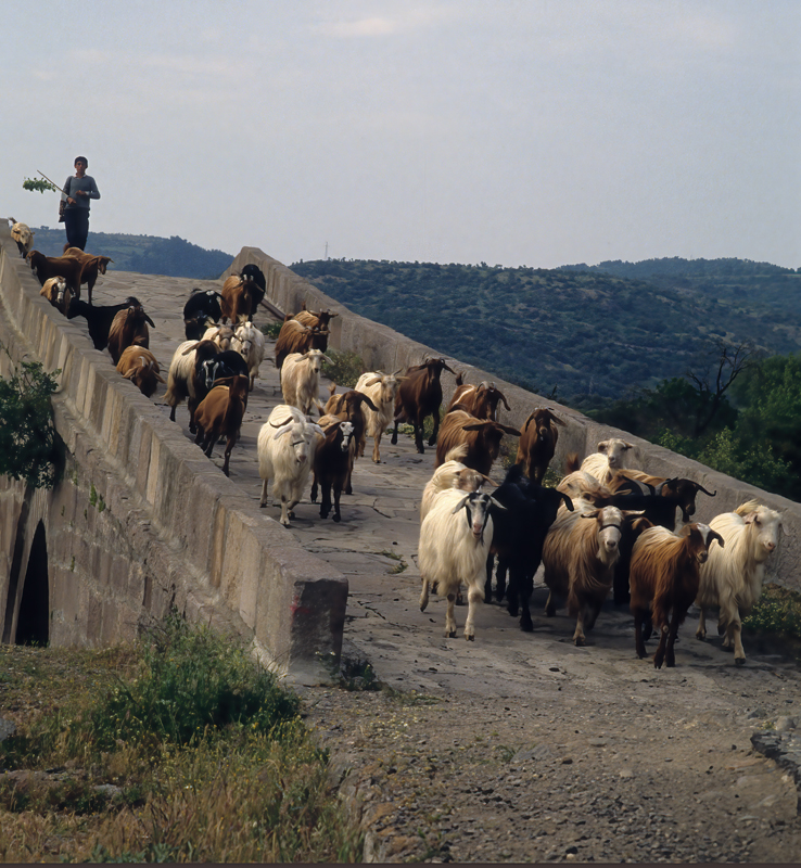 Turkey_88_024