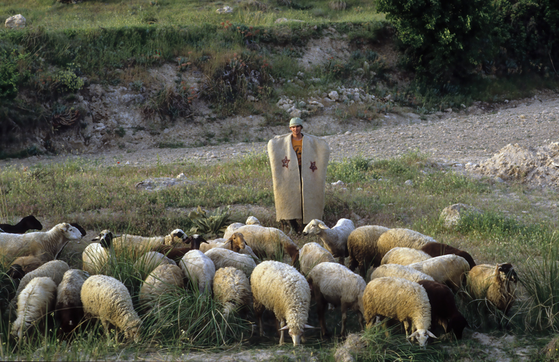 Turkey_88_062