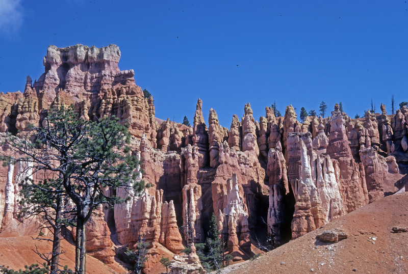 Utah_82_080