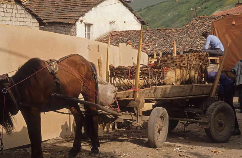 Yugoslavia_88_061