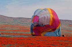 Hot Air Ballon Photo