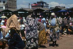 Kenya - Scenery