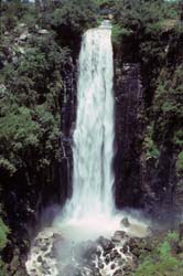 Kenya - Scenery