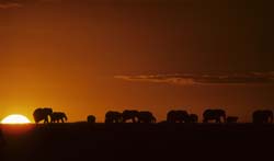 Kenya - Scenery