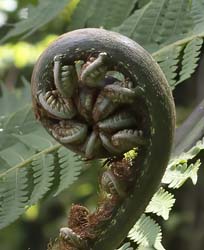Costa Rica Photo
